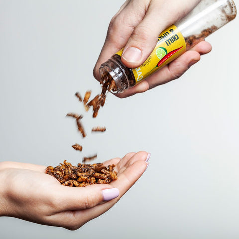 Edible Crickets Tube