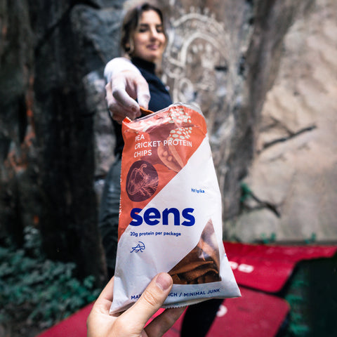 Spicy Paprika Protein Chips