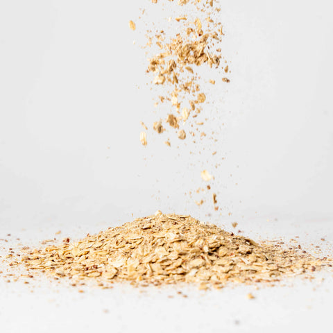 Oat Cricket Protein Breakfast - Hazelnut