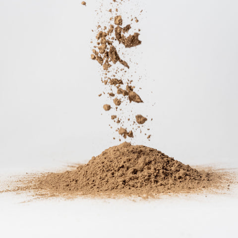 Chocolate Cricket Protein Powder