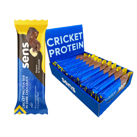Mix of Cricket Protein Bar in Dark Chocolate