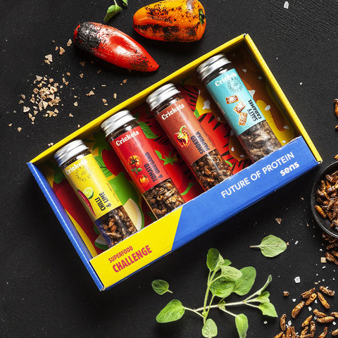 Spiced Crunchy Crickets in Gift Box