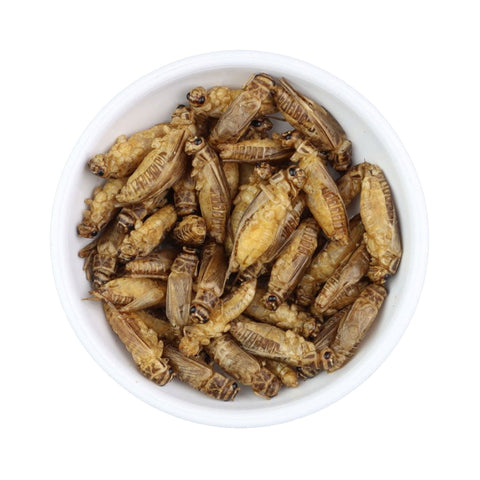 Dried crickets – unseasoned